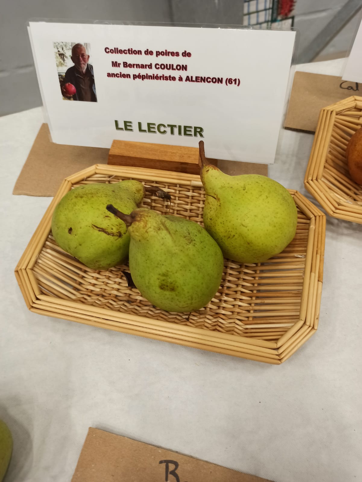 Poirier Le Lectier