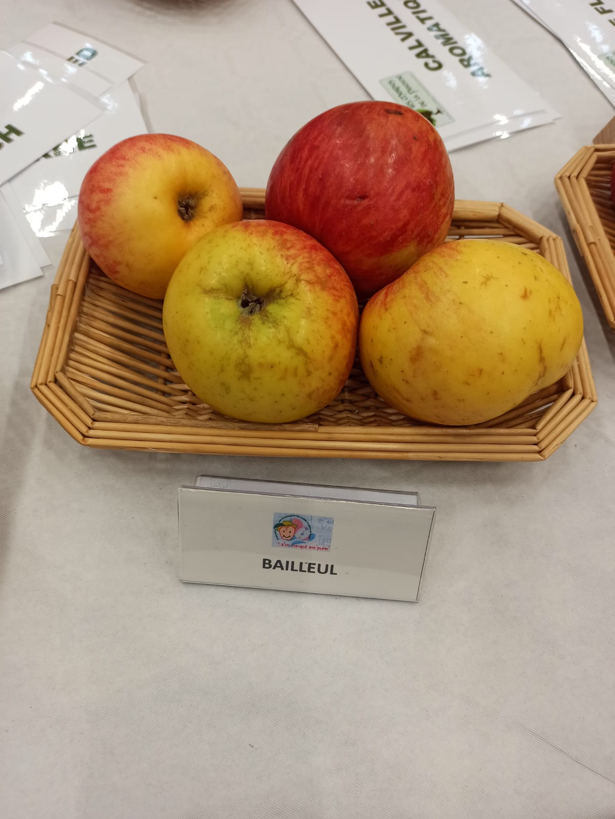 Pommier Reinette de Bailleul