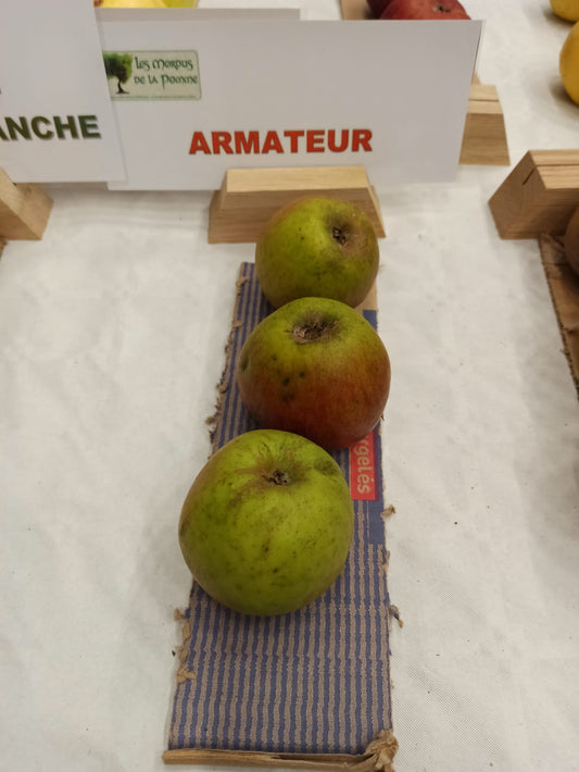 Pommier Armateur