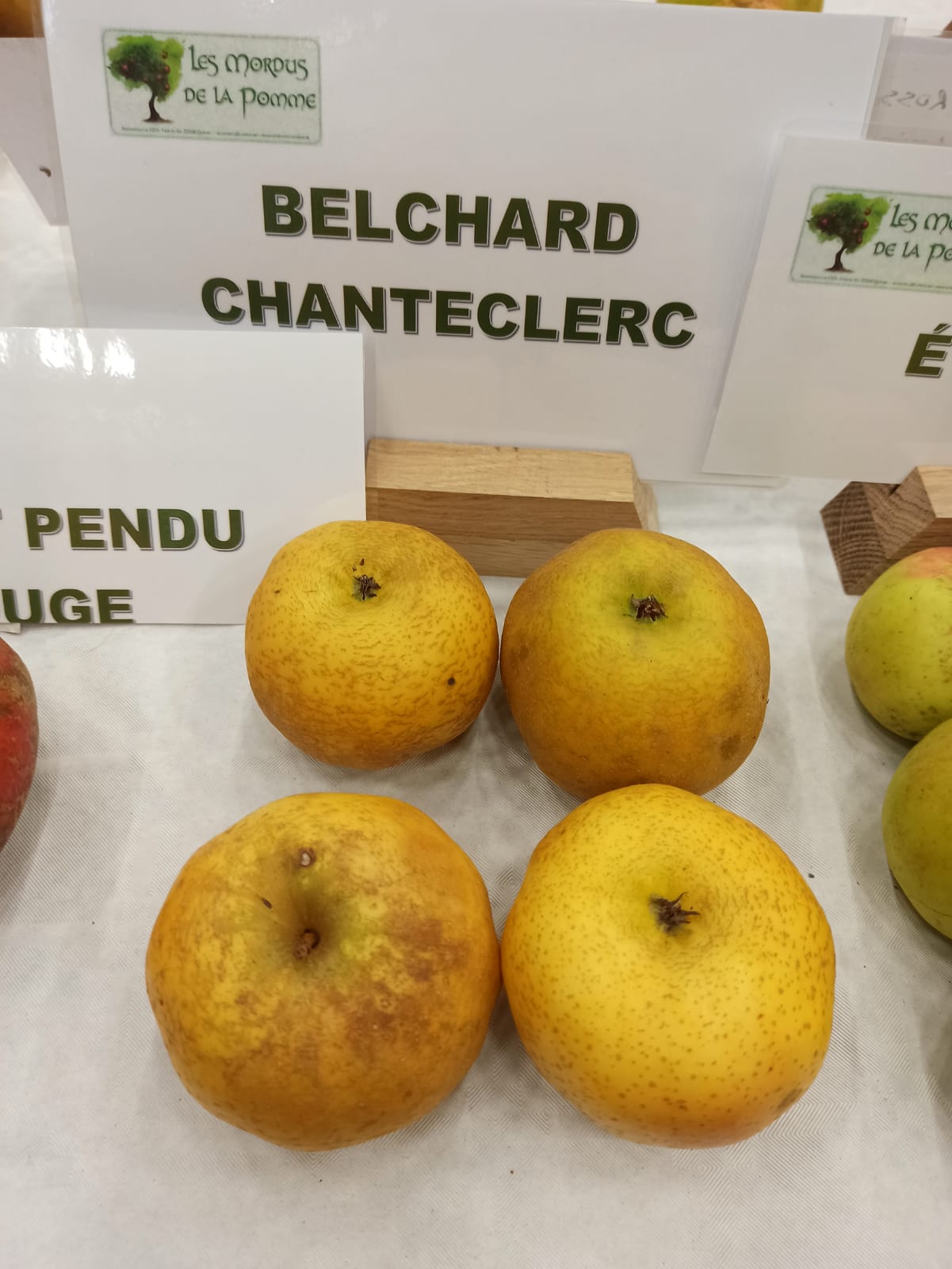 Pommier Belchard