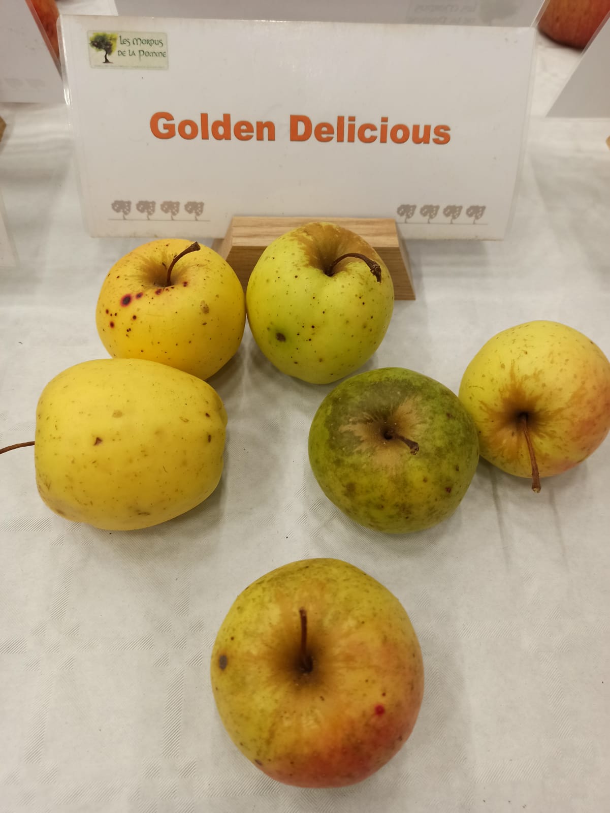 Pommier Golden