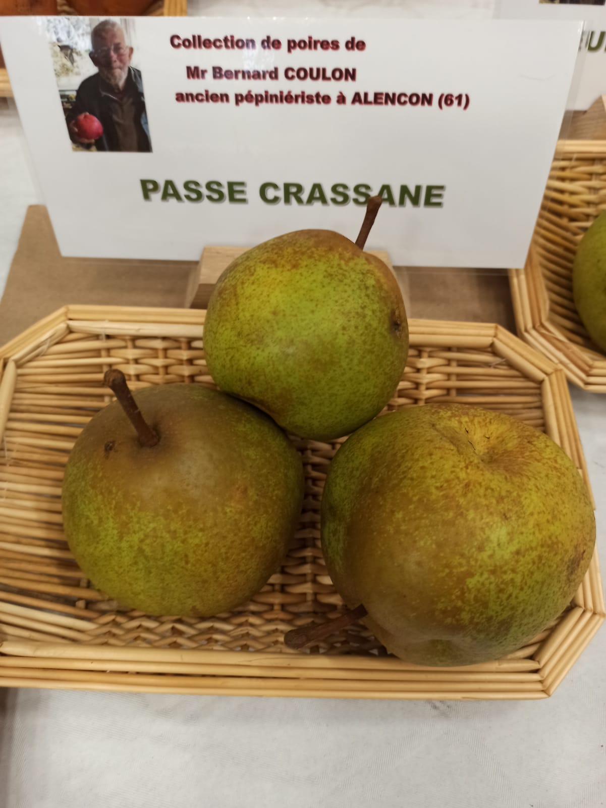 Poirier Passe-Crassane