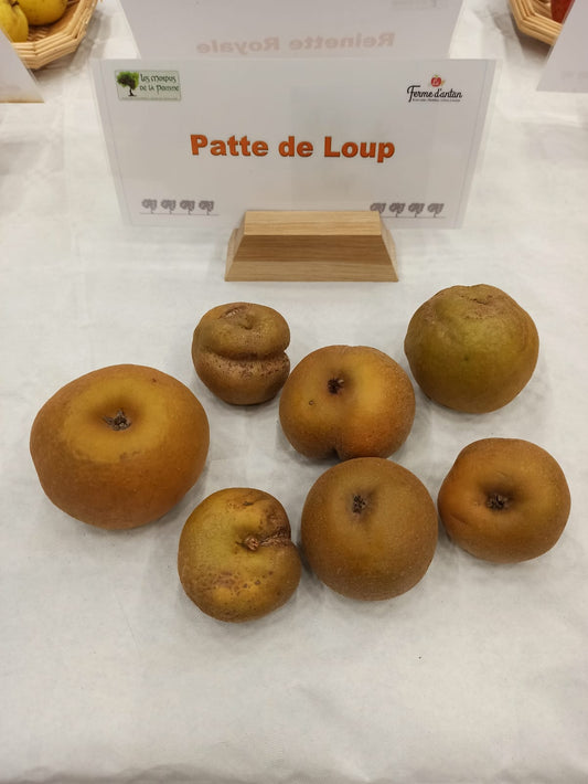 Pommier Patte de loup