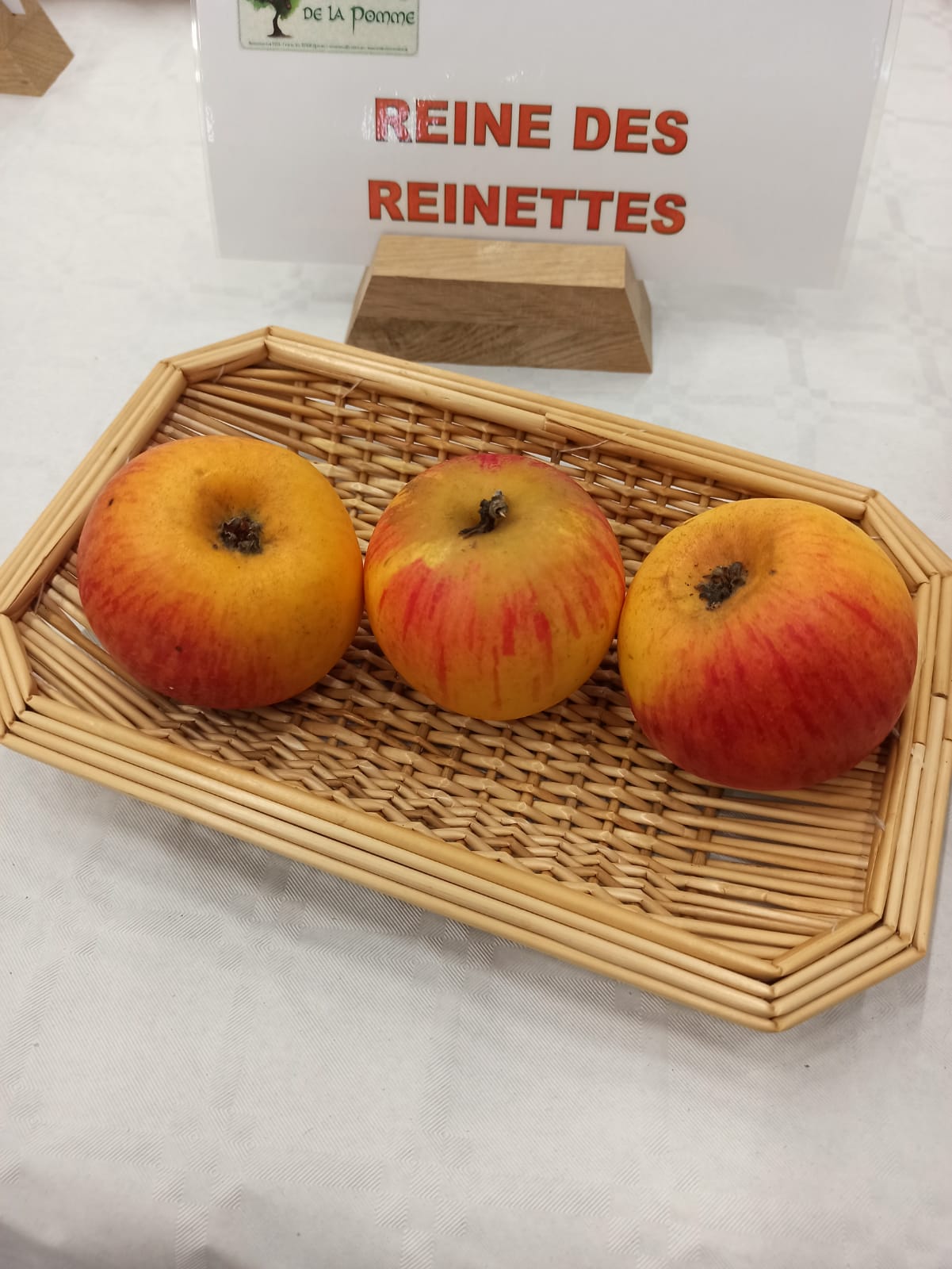 Pommier Reine des reinettes