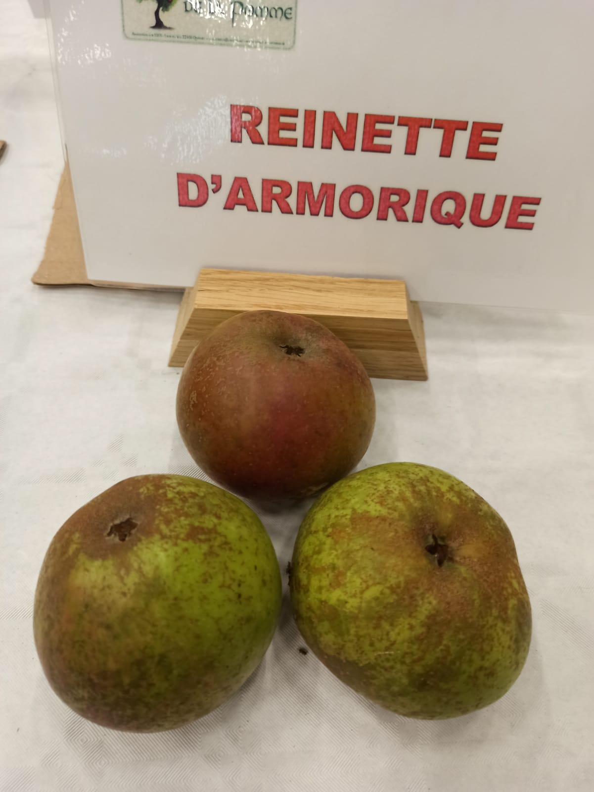 Pommier Reinette d'Armorique